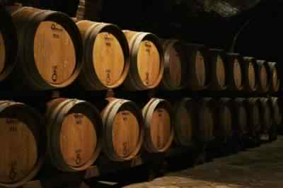 Oak Barriques for the aging process 
