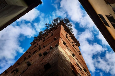 Guinigi Tower 
