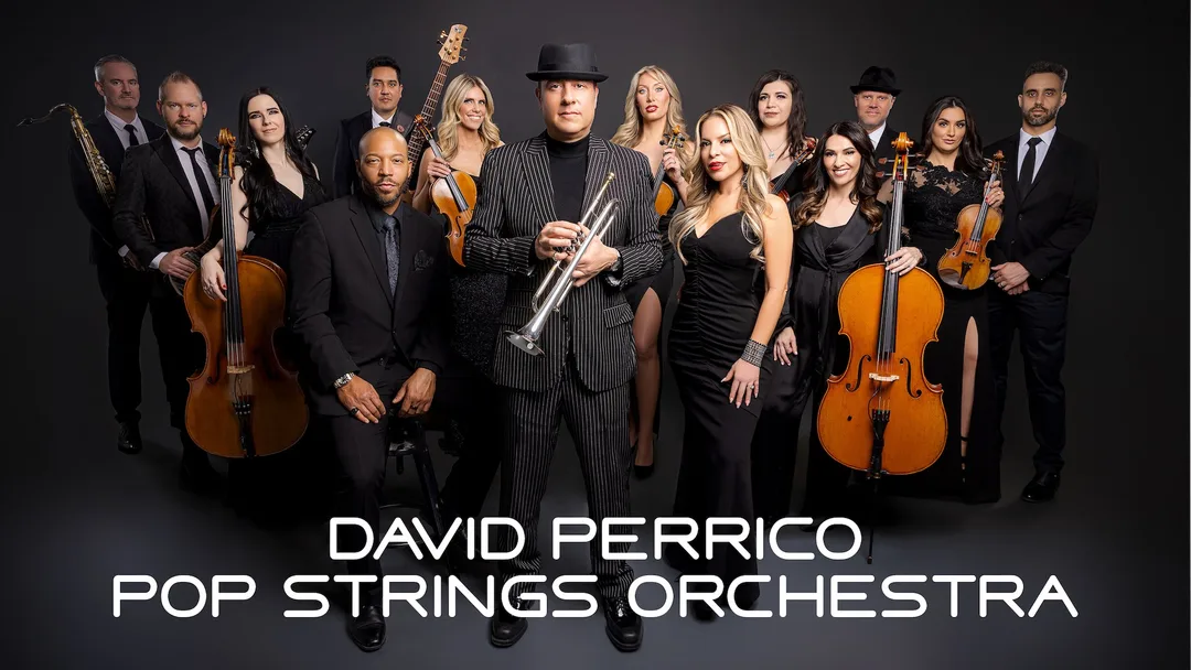 Pop Strings Orchestra - David Perrico Music