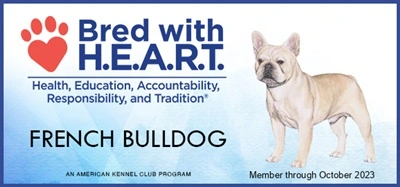 AKC Bred with H.E.A.R.T. French Bulldog breeder certificate – 2023