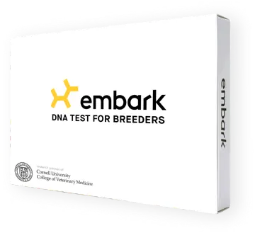 Embark DNA genetic health testing used for Must Be Frenchies breeding dogs