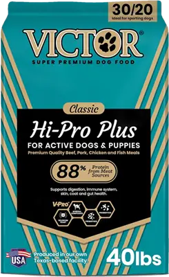 Victor Hi-Pro Plus Classic dog food for French Bulldogs.