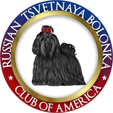 Russian Bolonka Dog Club