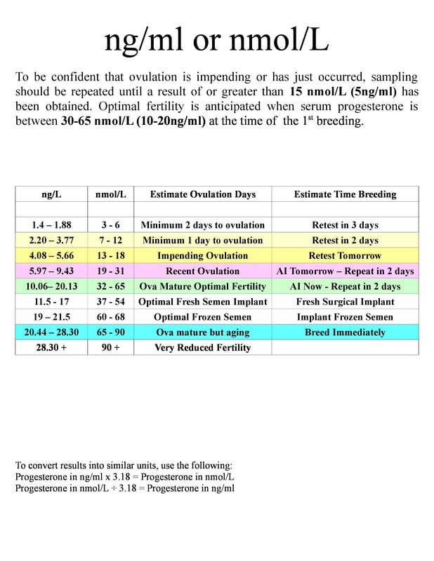canine progesterone test