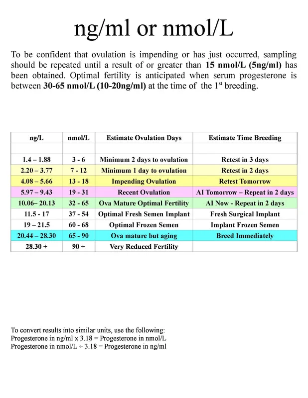 canine progesterone test