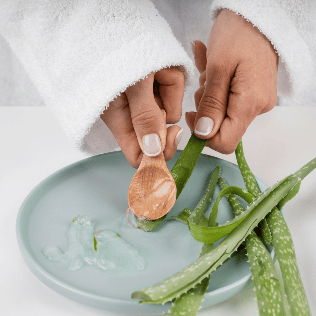 Aloe Vera Gel selbstgemacht