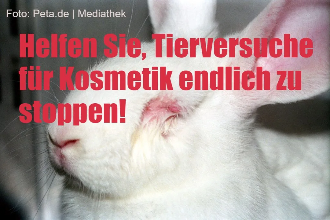 Petition - Tierversuche für Kosmetik endlich stoppen
