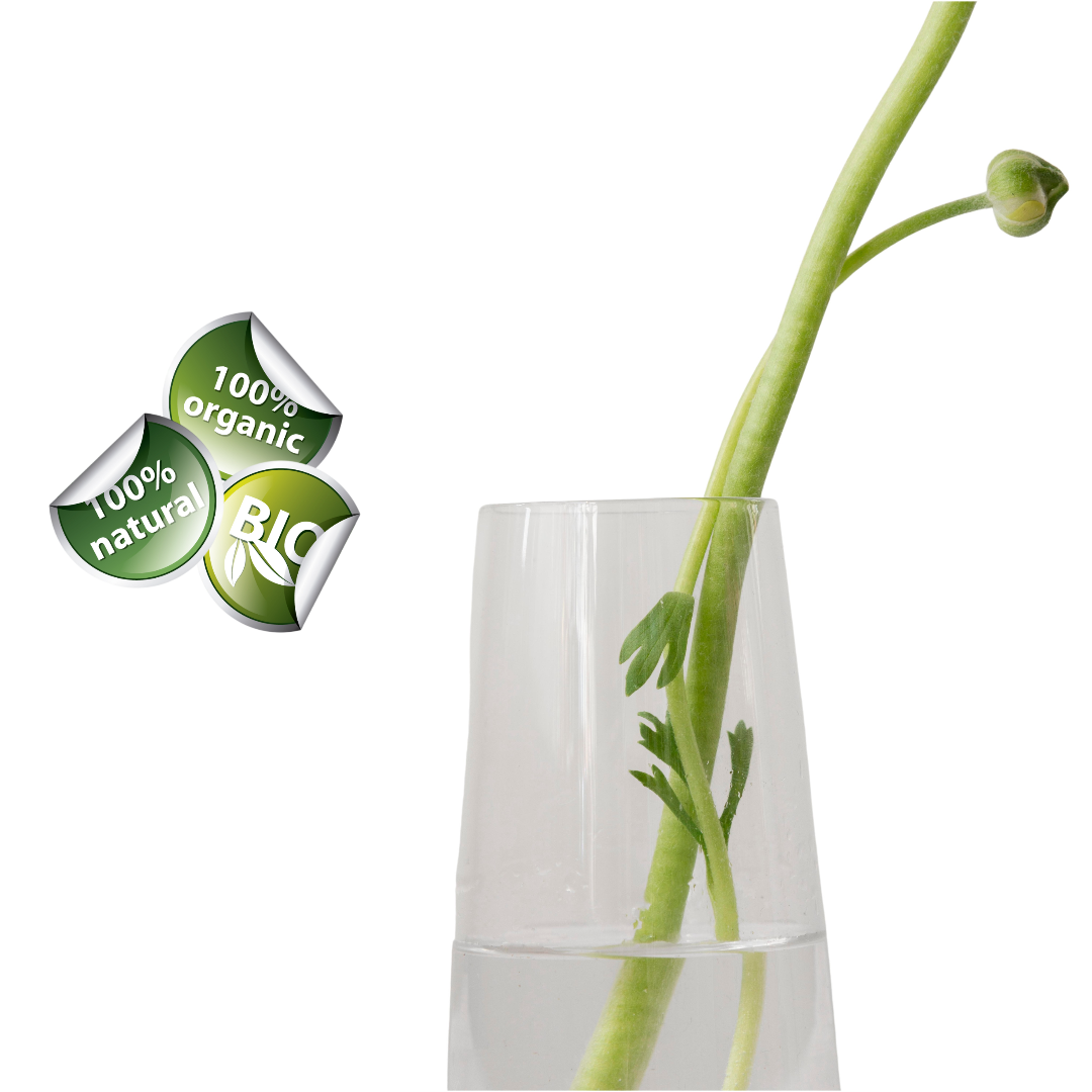 Siegel gegen Greenwashing