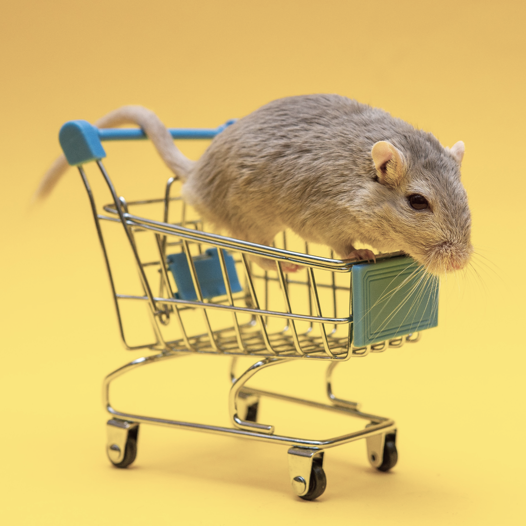 Supermarkt Produkte - Welche Marken machen Tierversuche?