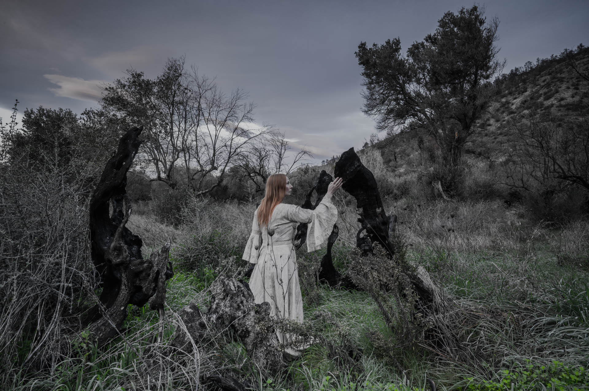 A woman in white stands between two burned tree trunks surrounded by grasses and emerging vegetation. The Bride Tree in Rovies, 2,500 years old
