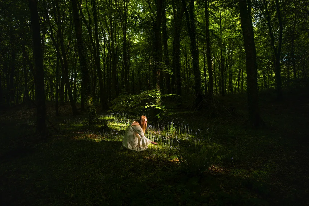 A woman in white kneels within a pool of sunlight in a dense green woodland.