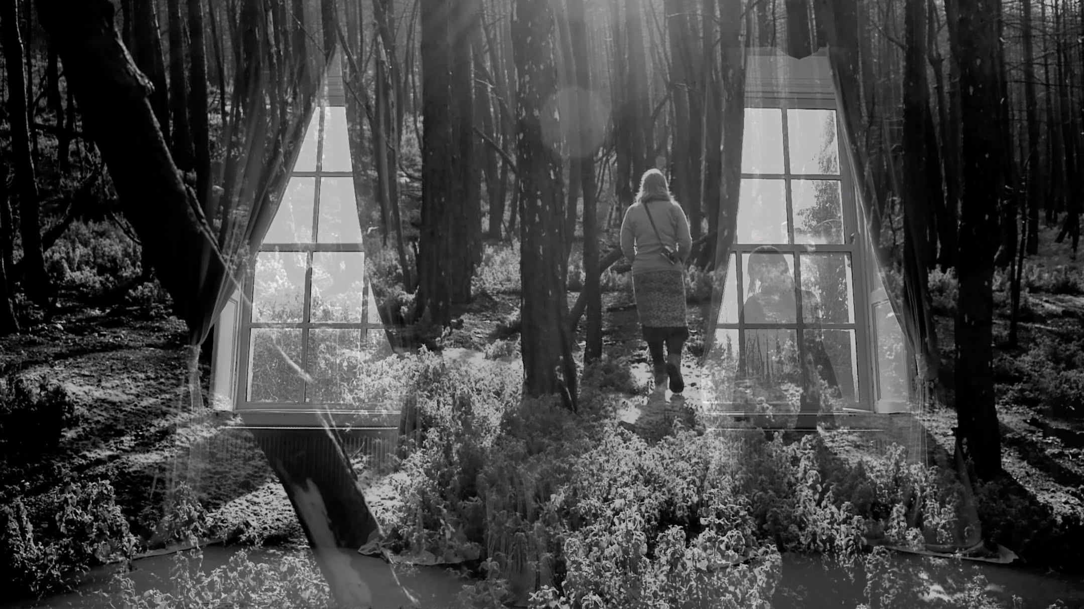 Layered black-and-white image combining an interior window and curtains with a solitary figure walking through a sunlit forest.