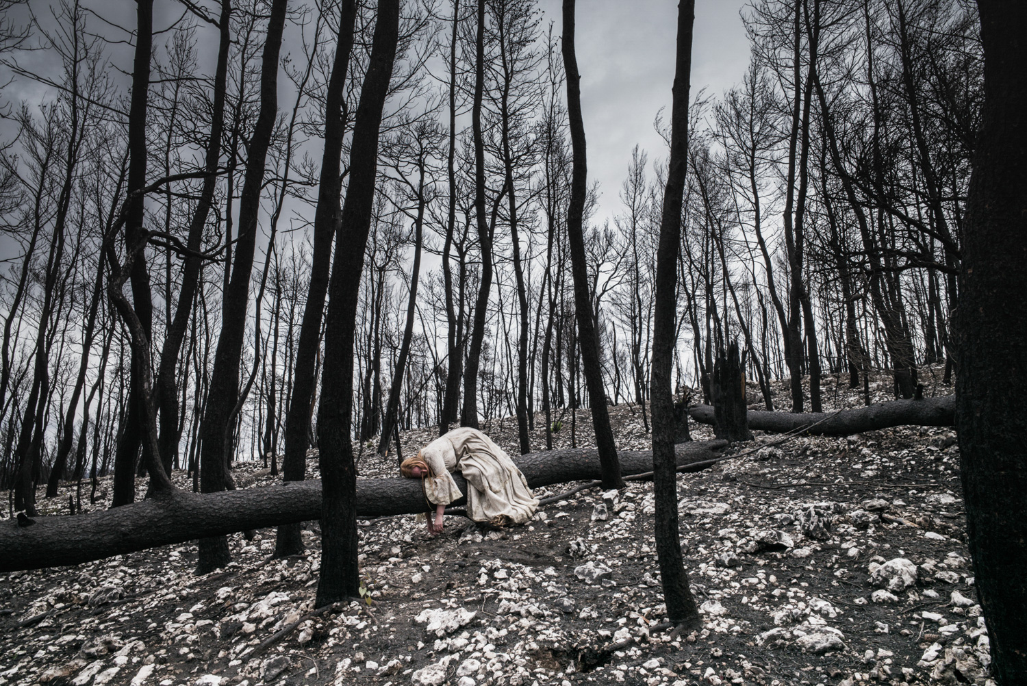 Black-and-white view of a woman in white moving through the bare trunks of a burned forest.