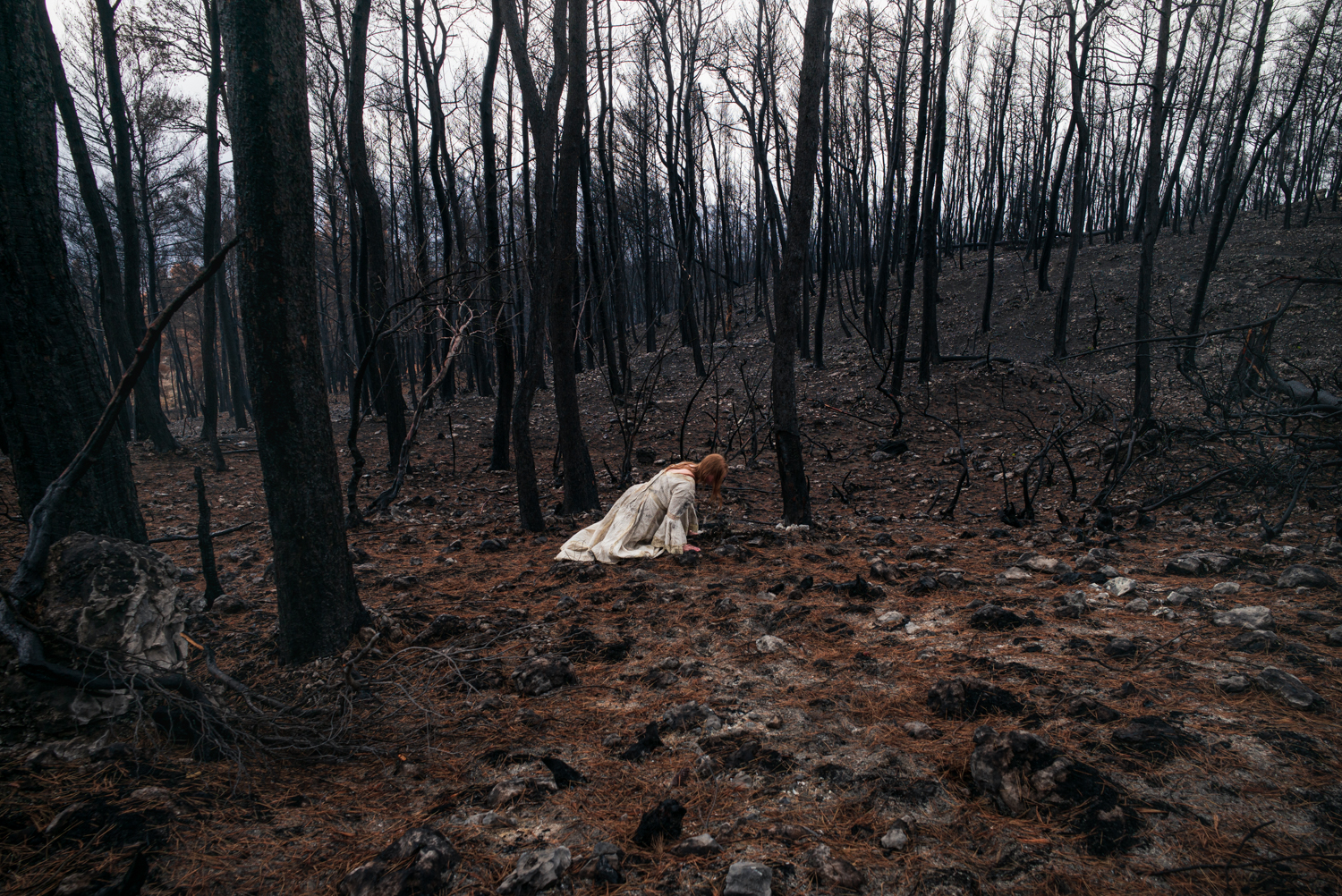 A woman in a white dress crouches among blackened trees and scorched rocks in a fire-damaged forest.