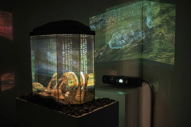 Multimedia installation in a darkened gallery, with projected forest imagery and handwritten text cast across a glass display case containing rocks and organic material.