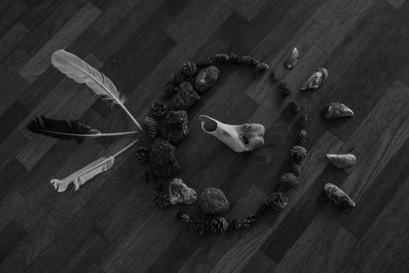 A circle of stones and dark organic material encloses an animal skull, with feathers and additional gathered objects extending from its edge.