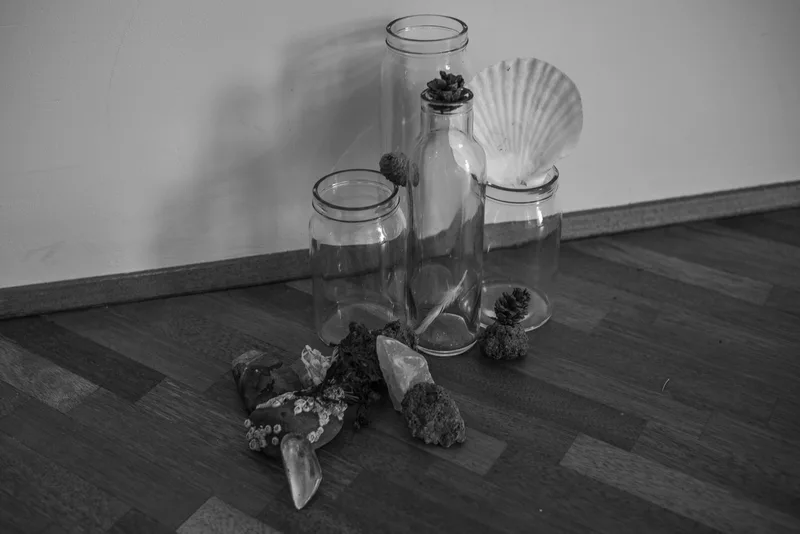Glass vessels, shells, stones and other gathered natural materials are arranged on a wooden gallery floor.