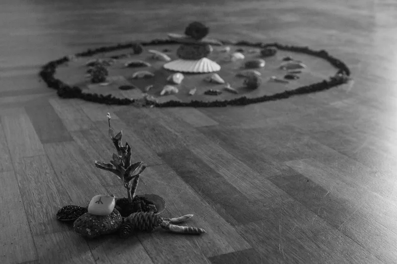 A small arrangement of natural objects sits in the foreground, with a larger circular arrangement of stones and shells beyond it.