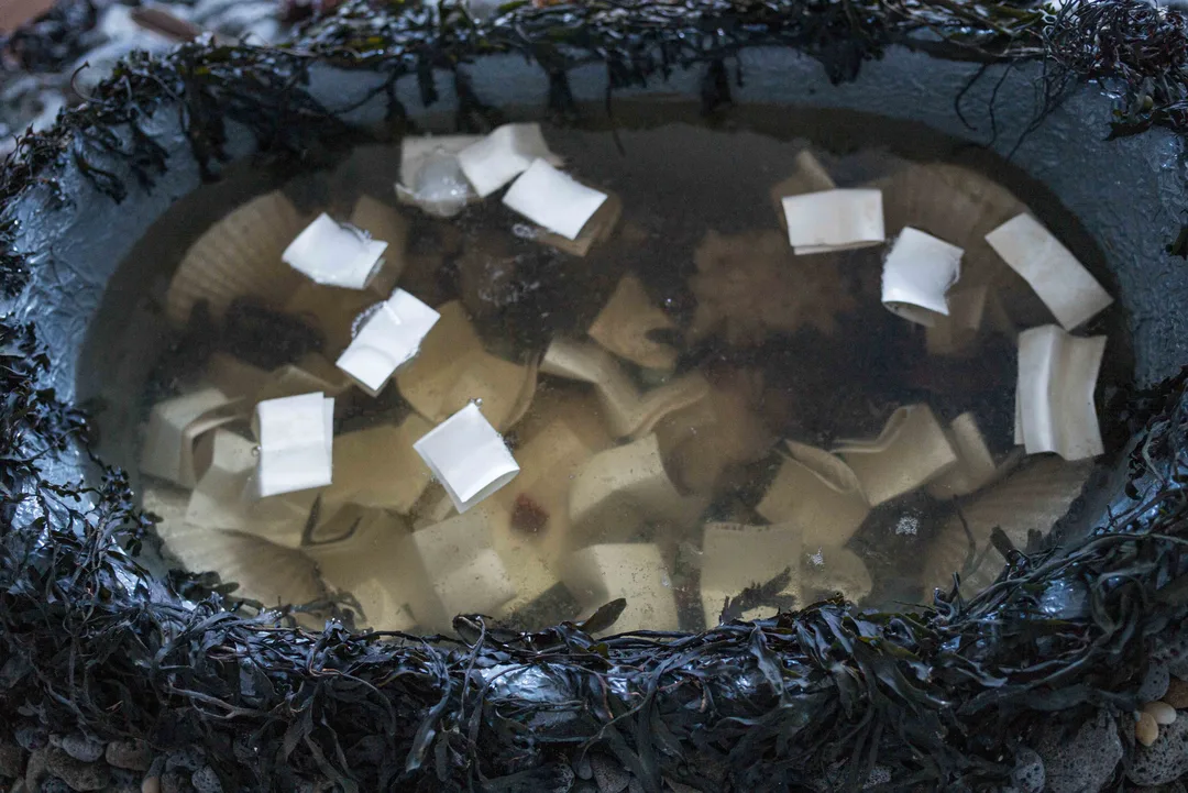 Folded handwritten notes contributed by visitors float on the surface of a shallow oval pool bordered by wet seaweed and dark stones.