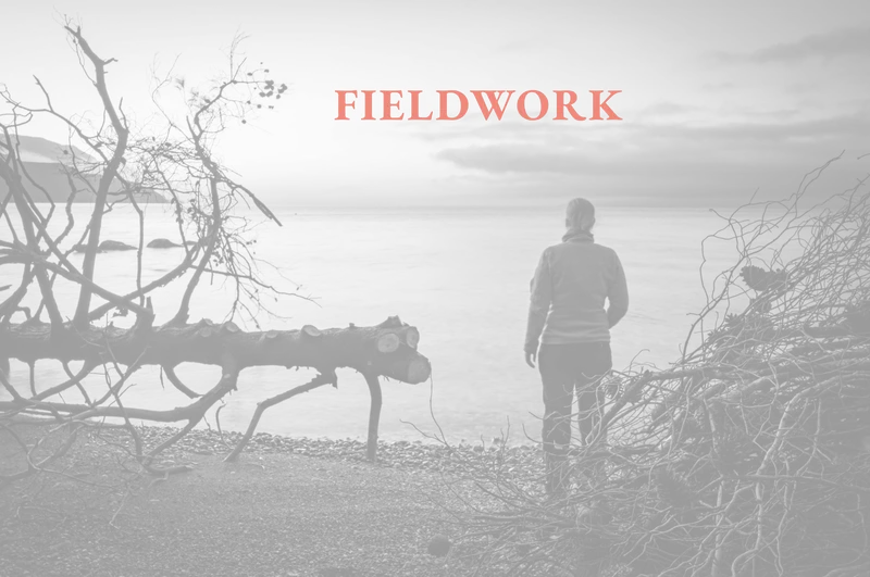 Explore Fieldwork: a figure stands among storm-felled branches beside water, introducing documentary projects about ecological, geological and human-directed change.