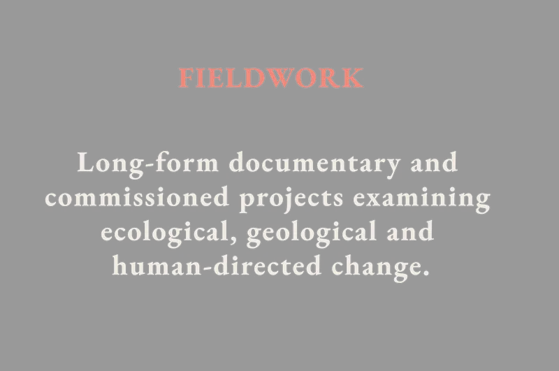 Explore Fieldwork: a figure stands among storm-felled branches beside water, introducing documentary projects about ecological, geological and human-directed change.