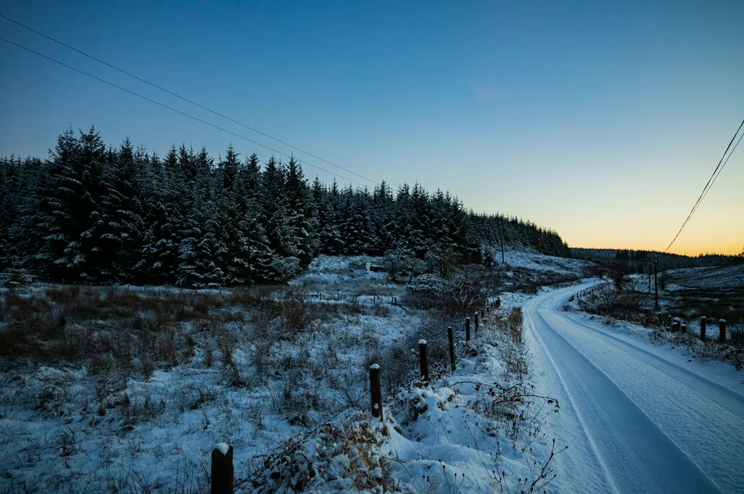 A snow-covered road curves through dense conifer forestry at dusk beneath a clear blue sky.