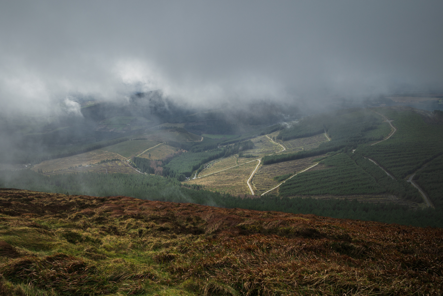 Elevated view across managed forestry, access roads and clear-felled areas partially obscured by low cloud and mist.