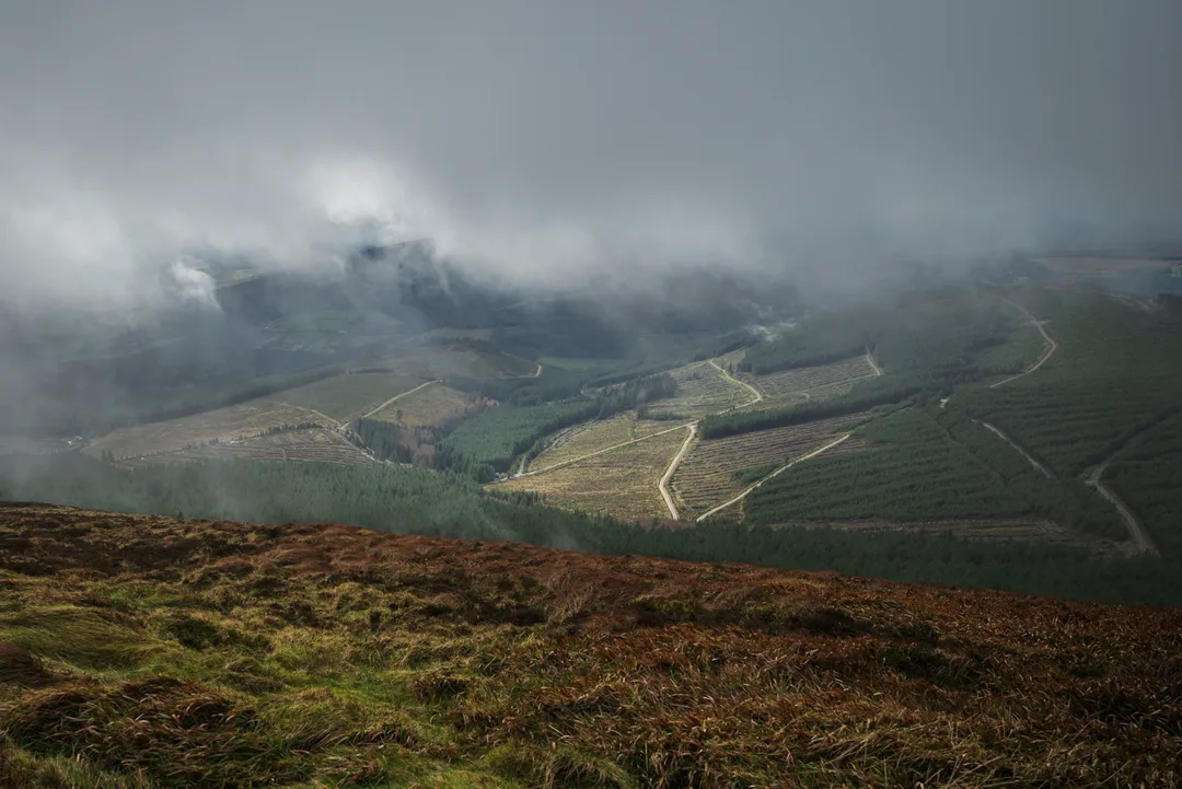 Elevated view across managed forestry, access roads and clear-felled areas partially obscured by low cloud and mist.