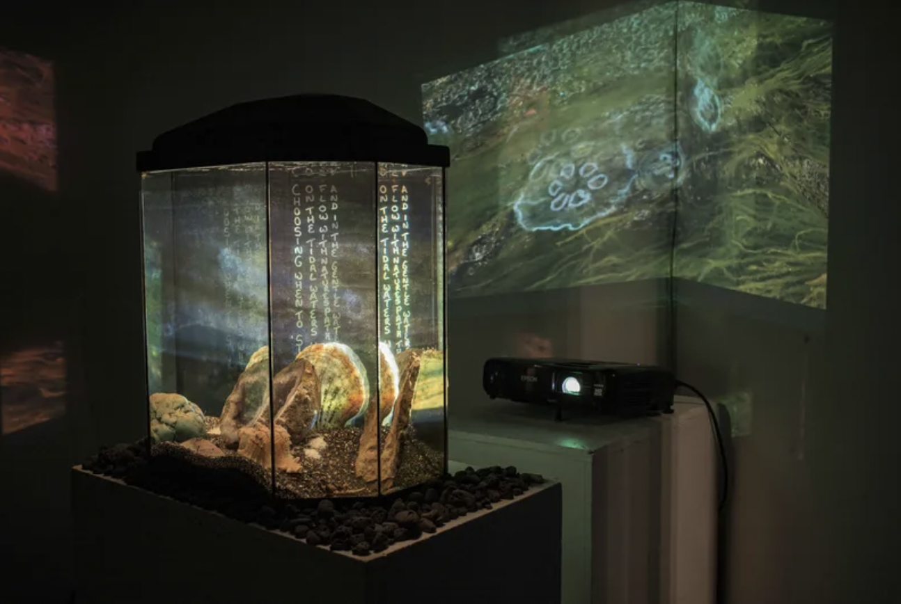 Multimedia installation in a darkened gallery, with projected forest imagery and handwritten text cast across a glass display case containing rocks and organic material.