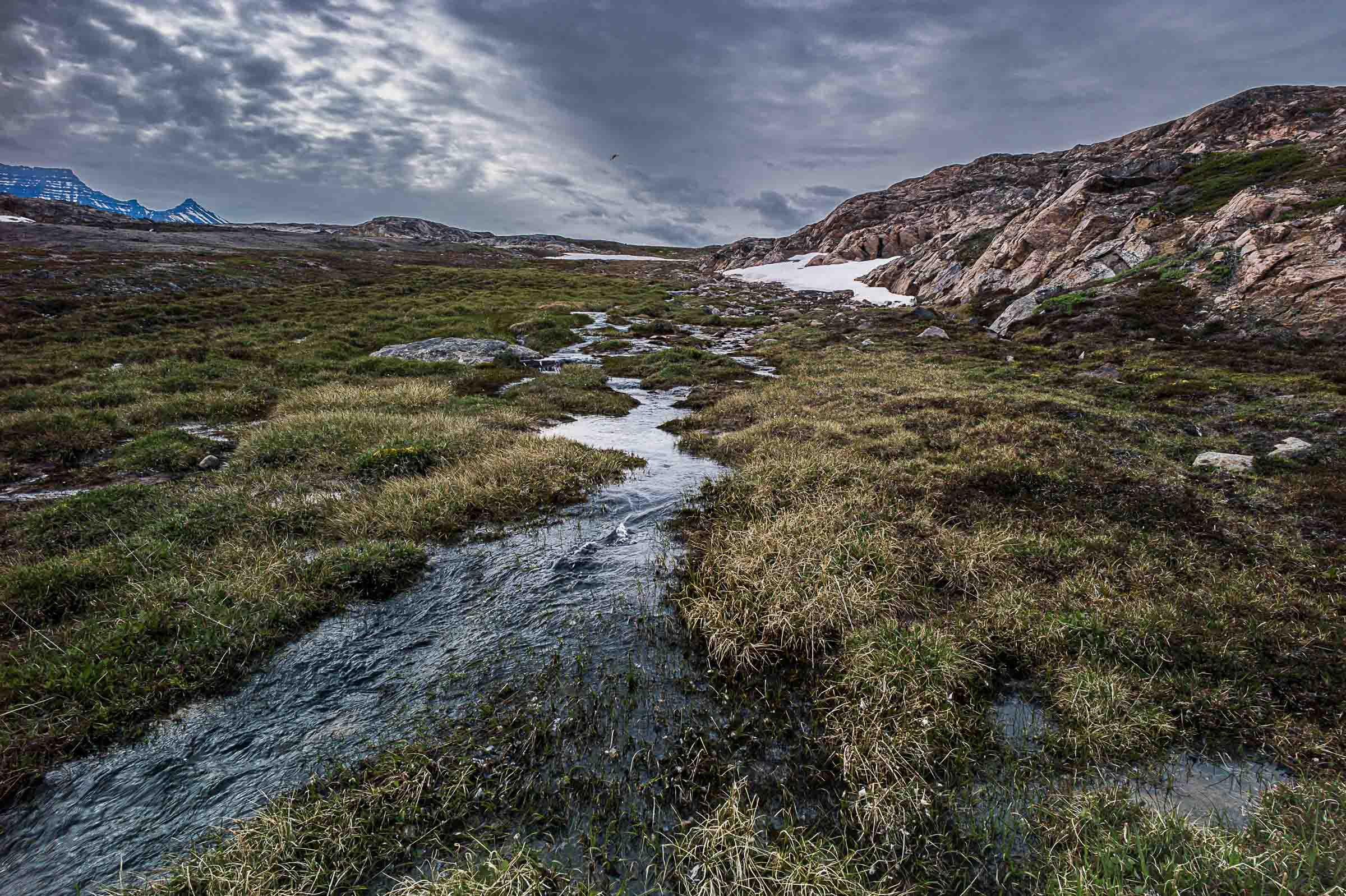 A narrow meltwater stream flows across green Arctic tundra towards low mountains beneath a dramatic clouded sky.
