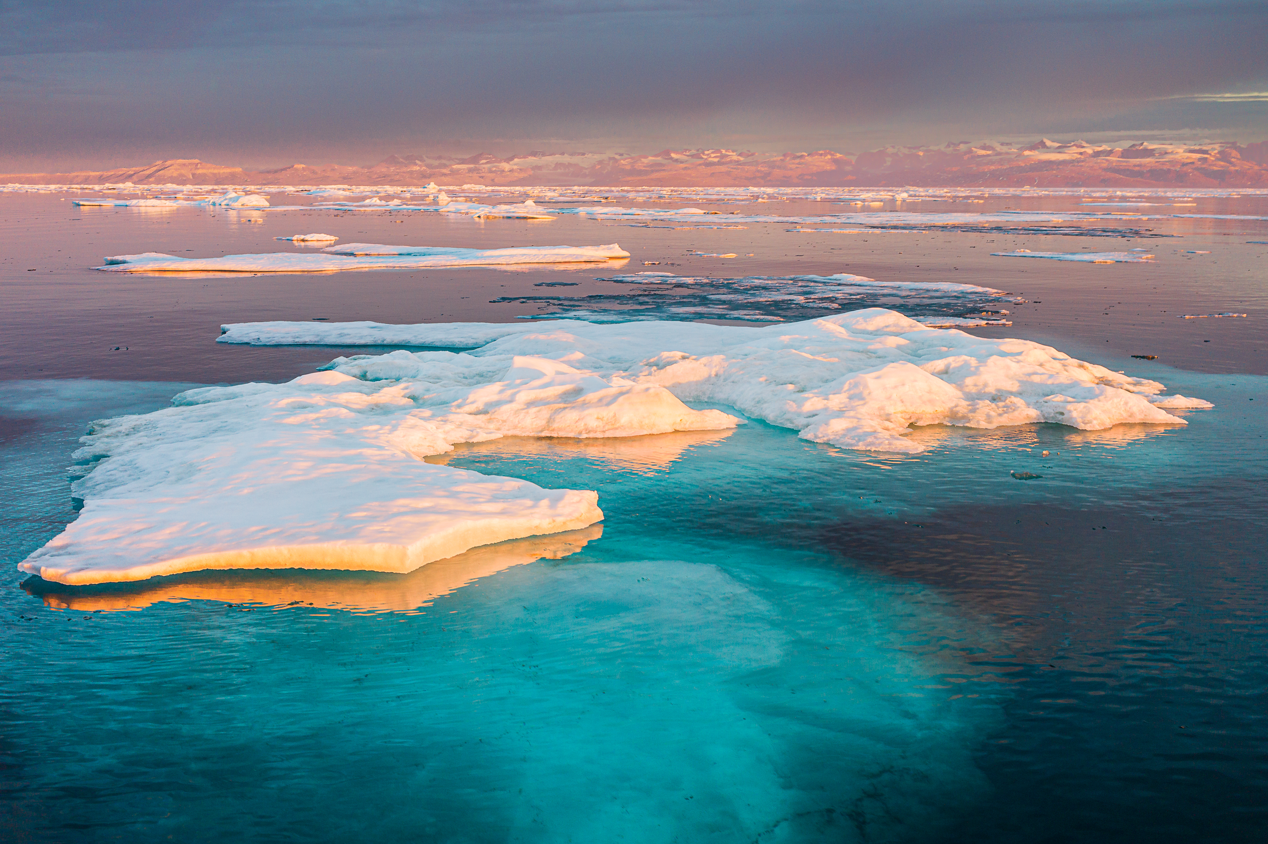 Elevated view of scattered ice floes surrounded by luminous turquoise water and warm evening light in East Greenland.