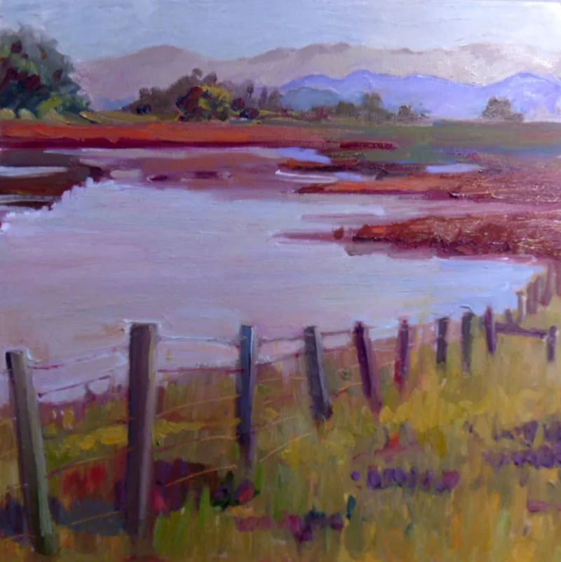 Gnoss Marsh by Kathleen Lack