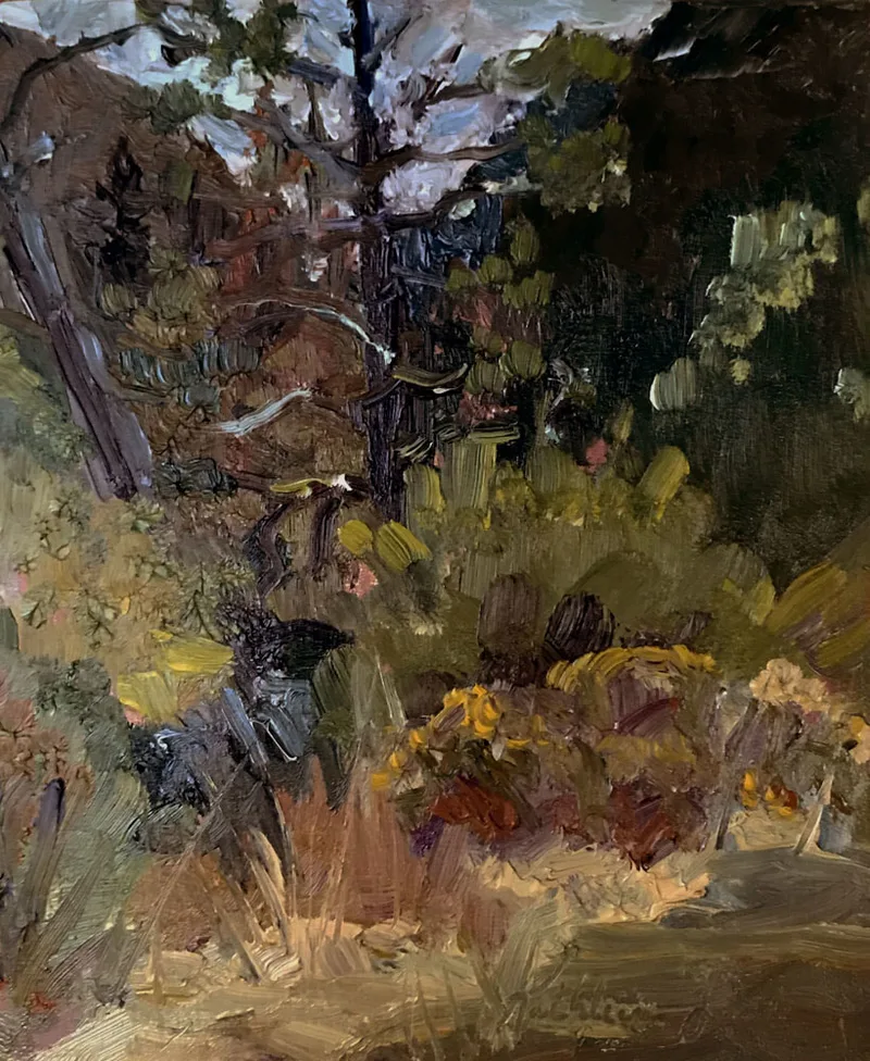 Wilderness Valley by Kathleen Lack