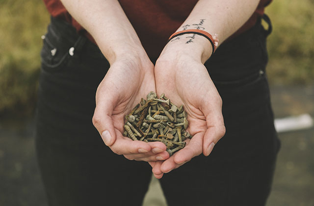 The Four Stages of Adolescent and Young Adult Drug Use