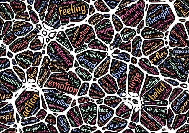 Addiction and the Brain