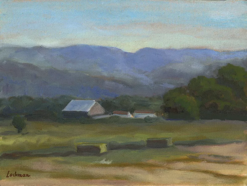 Evening Chileno Valley by Terry Lockman