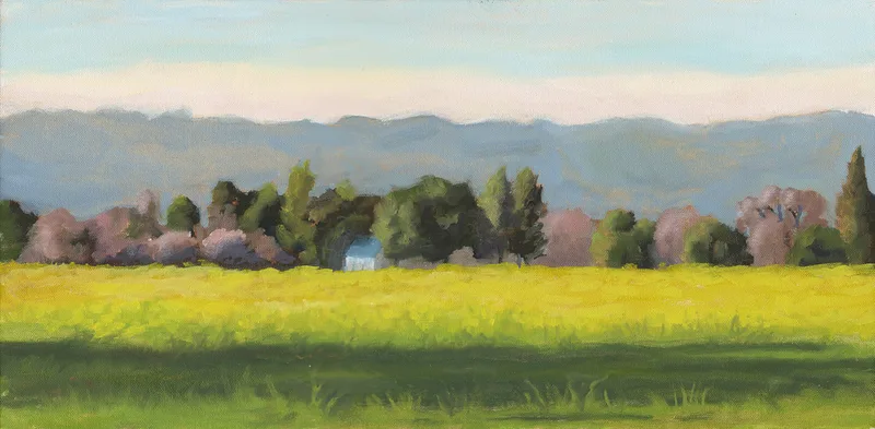 Mustard South of Sonoma by Terry Lockman