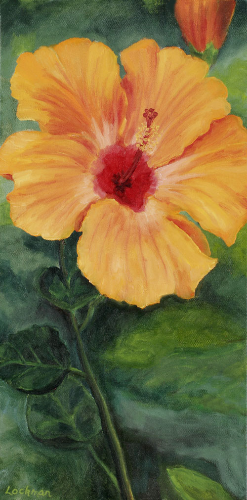 Orange Hibiscus by Terry Lockman