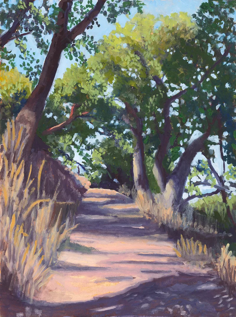 Image of Path Around Turtle Back Trail