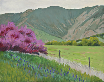 Red Bud Blooms by Terry Lockman