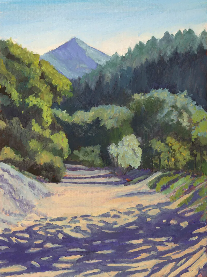 Image of Shadows on Path Around Lake Lagunitas