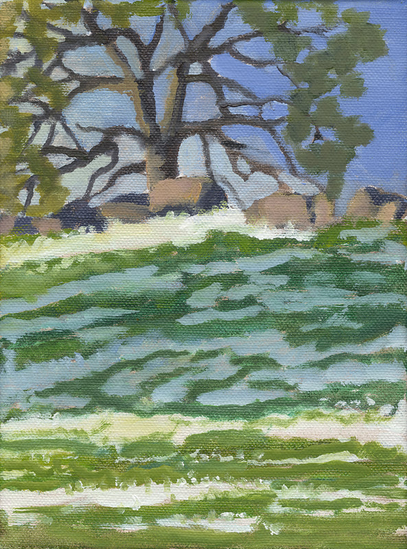 Spring Flowers in the Foothills II by Terry Lockman