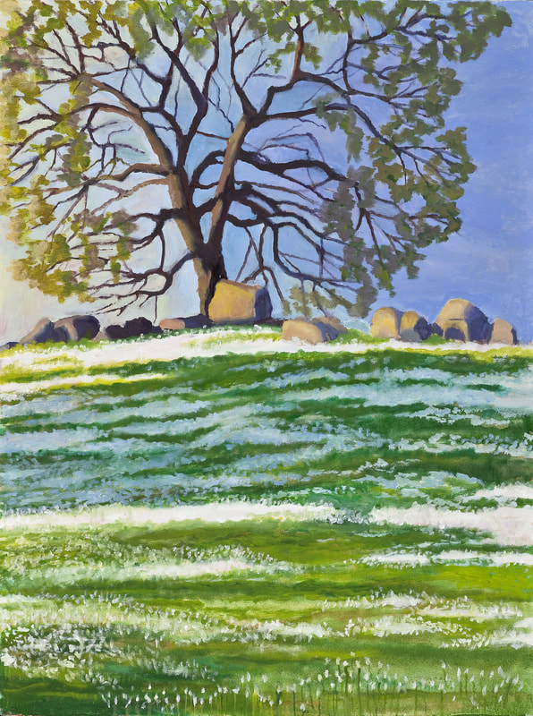 Spring Flowers in the Foothills by Terry Lockman