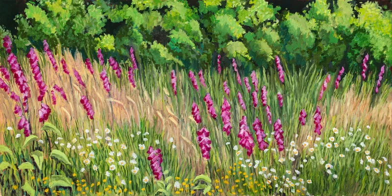 Image of Summer Wildflowers on the Olympic Peninsula