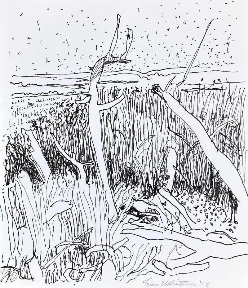 Image of The Marsh on Tomales Bay, 2018, pen on paper, 7.5