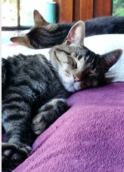Peanut