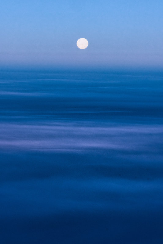 Picture of moonstruck