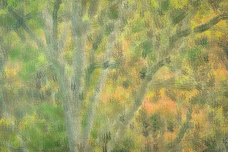 Autumn's Palette by Mary  Macey Butler
