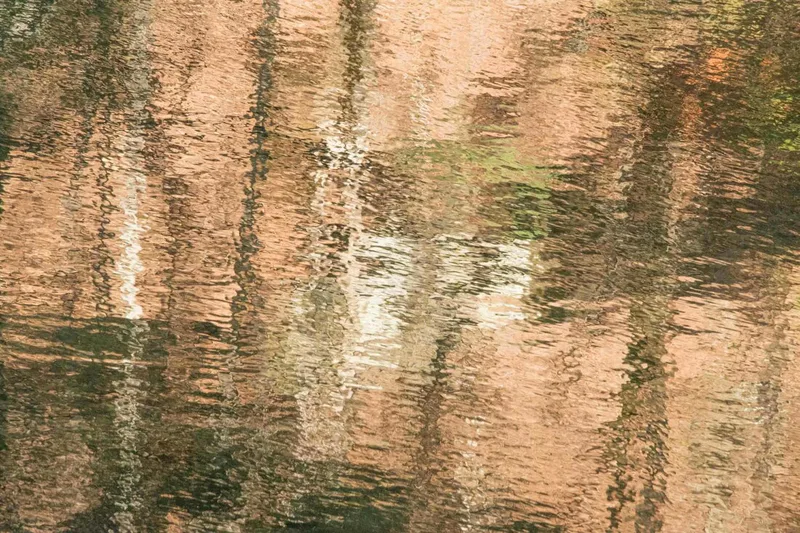 Creek Reflections