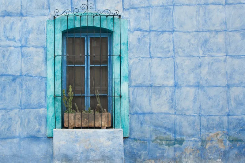 Oaxaca Window And Planter by Mary Macey Butler